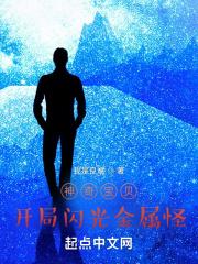 神奇宝贝开局一只闪光神奇宝贝