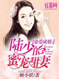 陆少蜜爱甜妻 陆少蜜爱甜妻