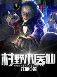 村野小医仙评书