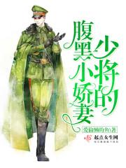 腹黑少将的闪婚小小妻黑道 腹黑少将的闪婚小小妻黑道