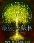 最强天赋树TXT 最强天赋树TXT