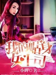 我的贴身女神保镖