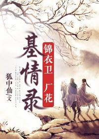 锦衣卫公司 锦衣卫公司