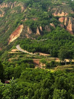 高加林最后怎么样了 高加林最后怎么样了