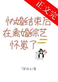 协婚结束后在离婚综艺怀崽了全文免费阅读