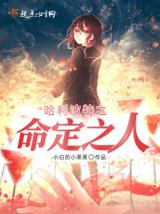 哈利波特之命定之人 哈利波特之命定之人