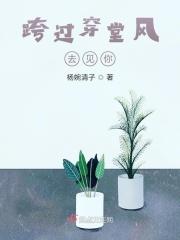 跨过穿堂风去见你 跨过穿堂风去见你