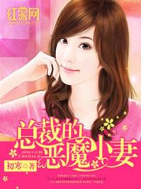 总裁的恶魔小妻 总裁的恶魔小妻