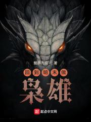 回到明末做枭雄 回到明末做枭雄