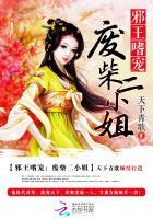 邪王嗜宠:废材二小姐 邪王嗜宠:废材二小姐