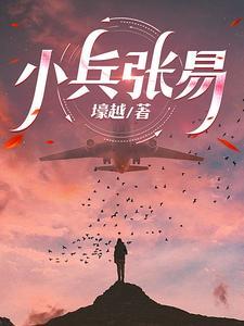 小兵张易 小兵张易