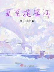 夏至揽星河 夏至揽星河