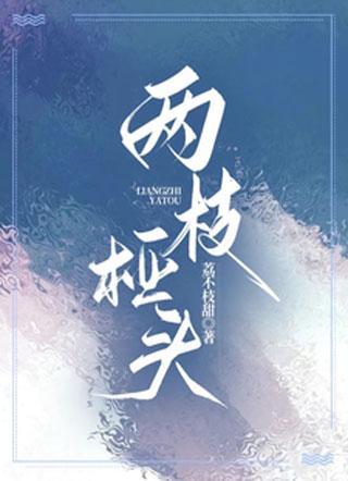 两枝桠头 两枝桠头