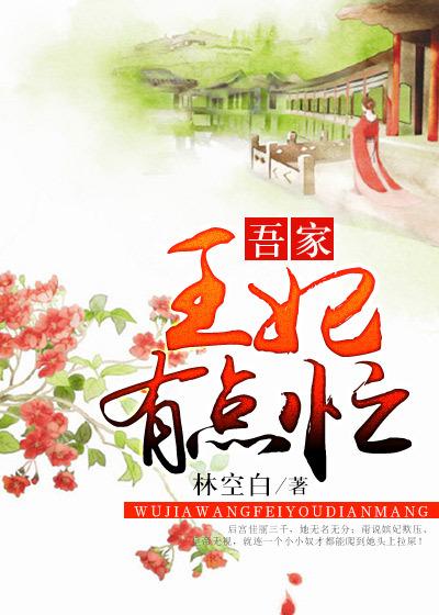 吾家王妃有点忙 吾家王妃有点忙